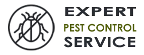 Emergency Exterminator Company Miami FL